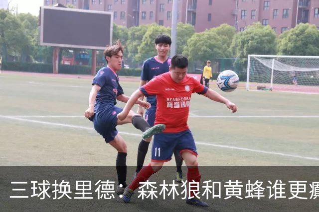 三球换里德：森林狼和黄蜂谁更癫？！