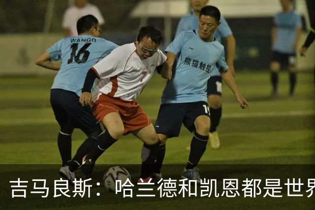 吉马良斯：哈兰德和凯恩都是世界最佳前锋，战挪威时要盯紧前者